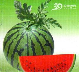 南北爆料社挑西瓜视频,揭秘挑西瓜视频背后的秘密与技巧